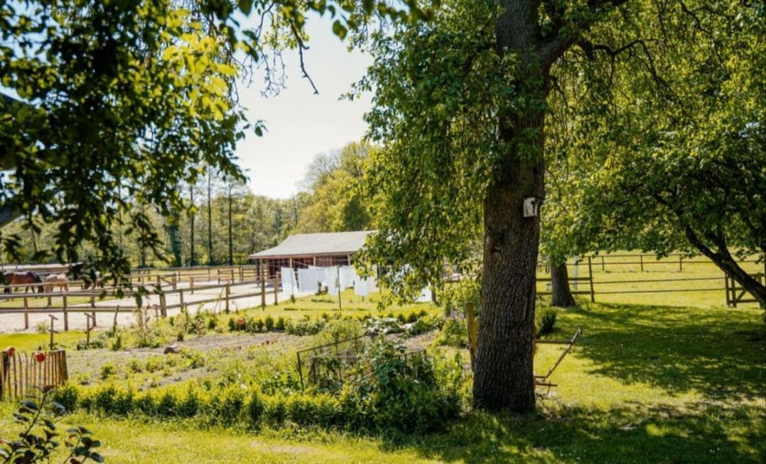 Ferienhof Trapp Ellringen Buitenkant foto